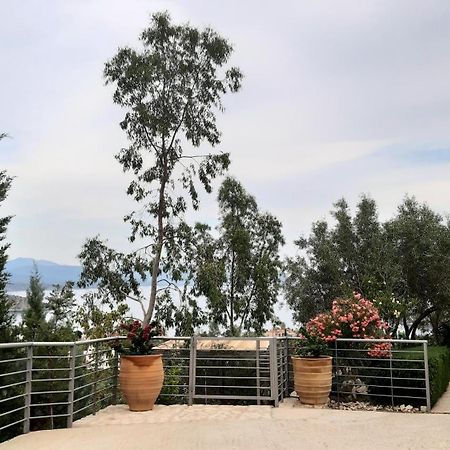 Villa Stone House In Olive Grove Tolón Esterno foto