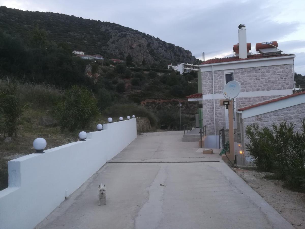 Villa Stone House In Olive Grove Tolón Esterno foto