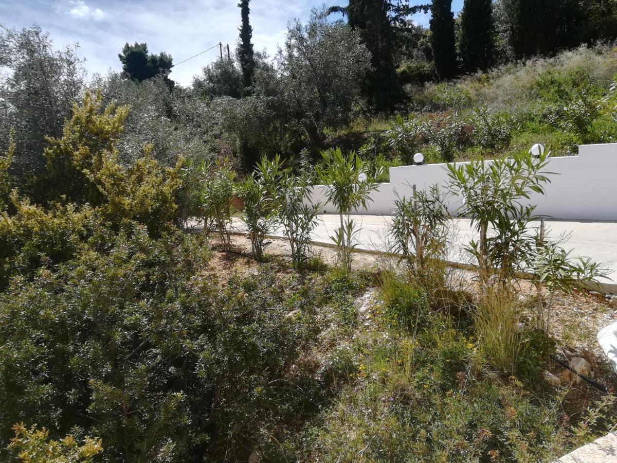 Villa Stone House In Olive Grove Tolón Esterno foto