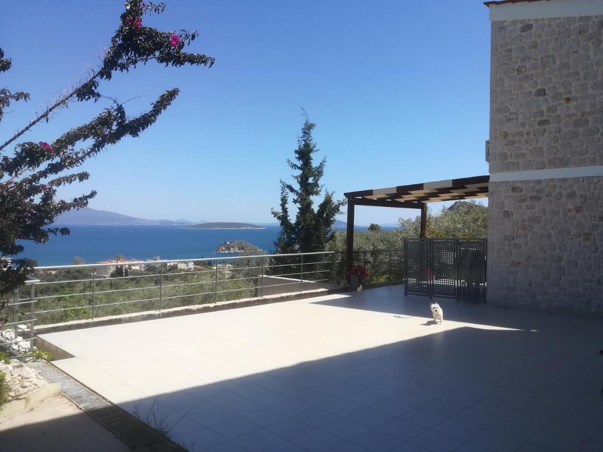 Villa Stone House In Olive Grove Tolón Esterno foto