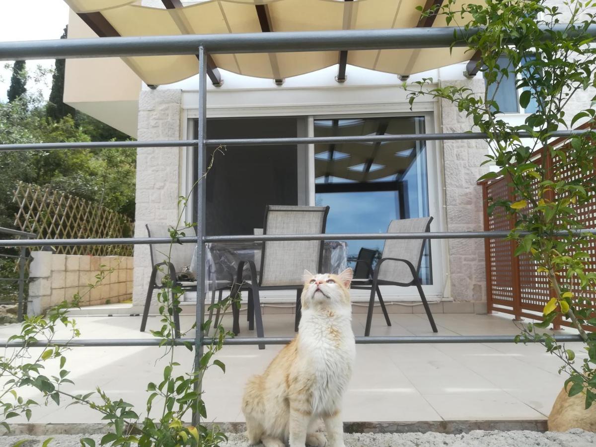 Villa Stone House In Olive Grove Tolón Esterno foto