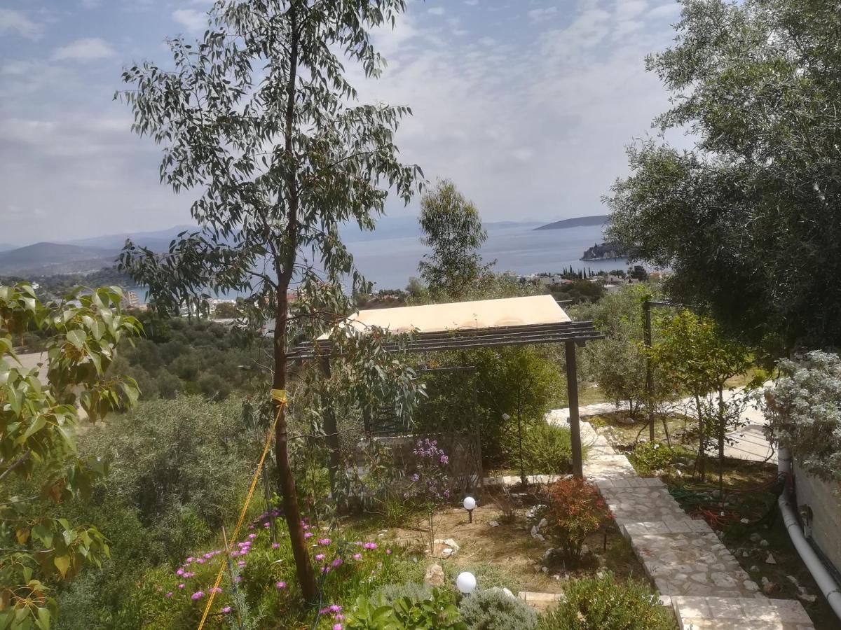 Villa Stone House In Olive Grove Tolón Esterno foto