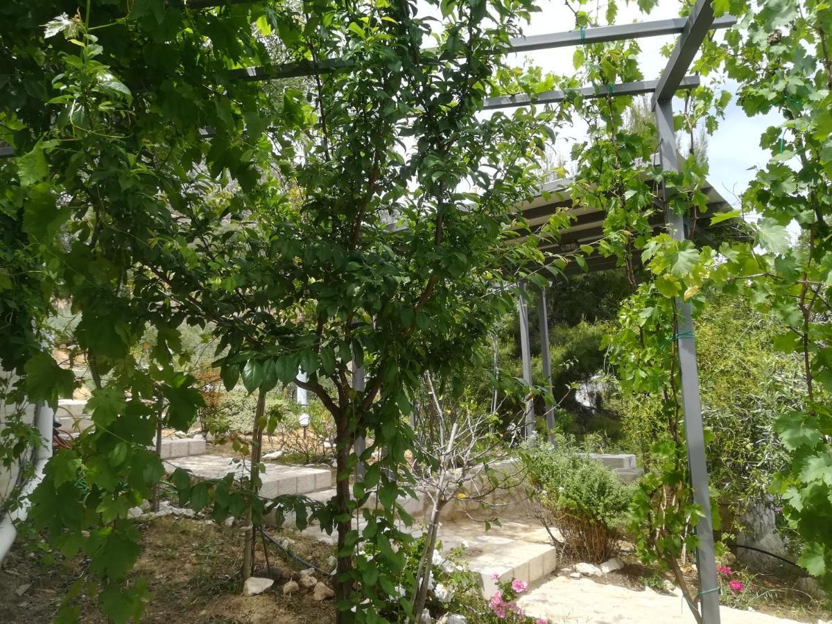 Villa Stone House In Olive Grove Tolón Esterno foto