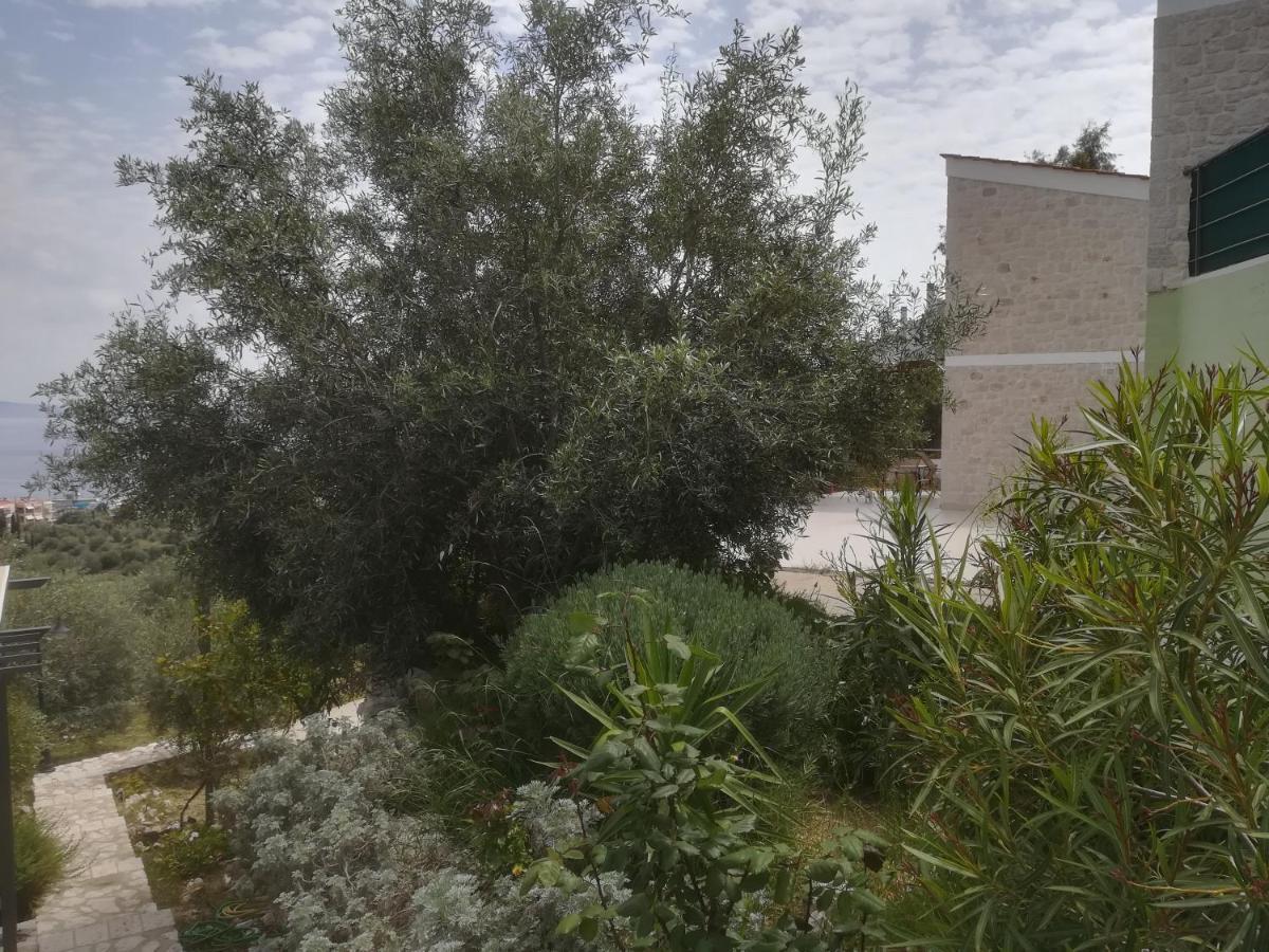 Villa Stone House In Olive Grove Tolón Esterno foto