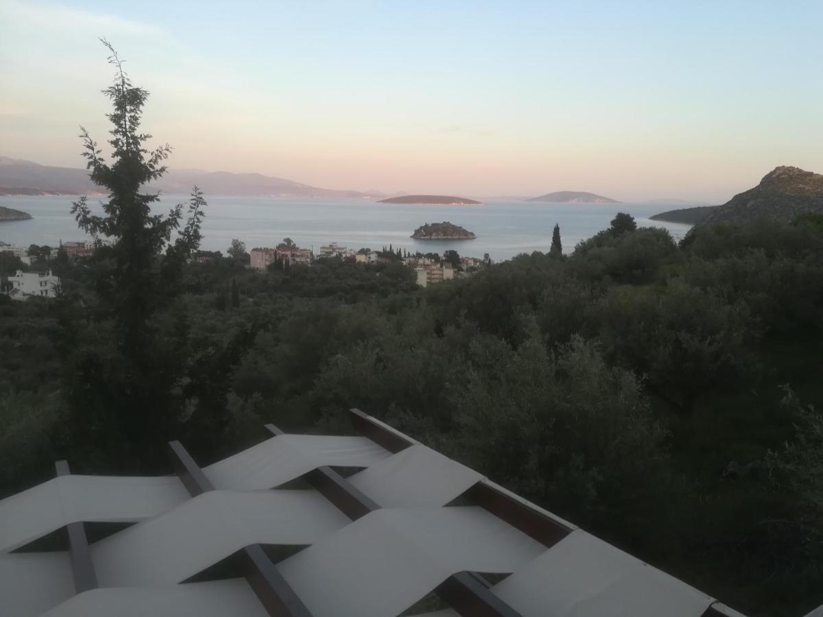 Villa Stone House In Olive Grove Tolón Esterno foto