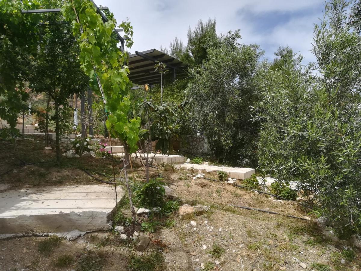 Villa Stone House In Olive Grove Tolón Esterno foto