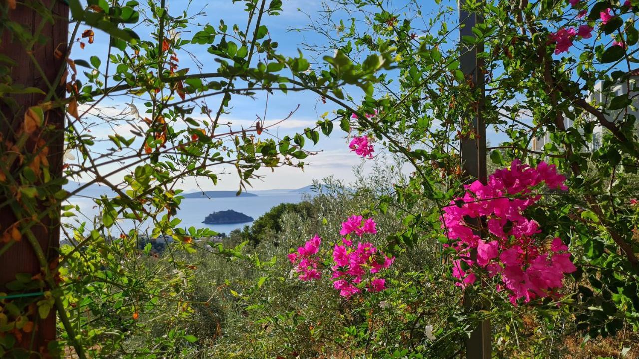 Villa Stone House In Olive Grove Tolón Esterno foto