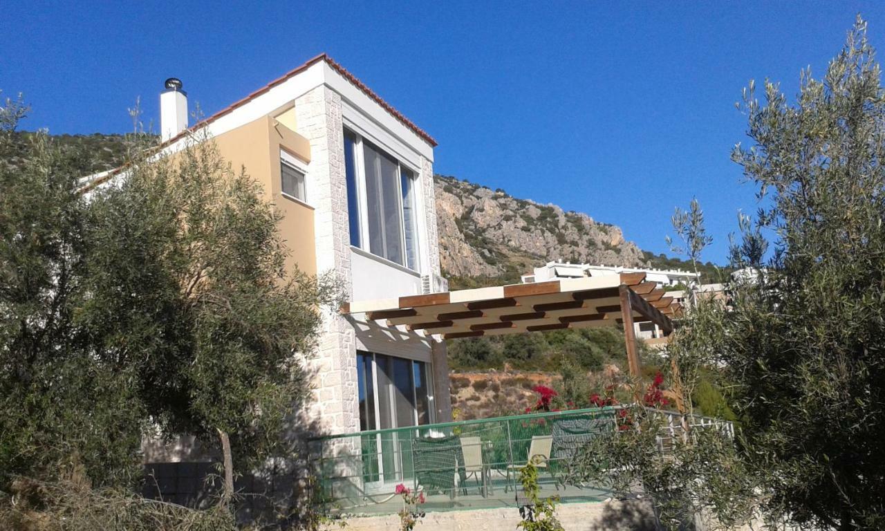 Villa Stone House In Olive Grove Tolón Esterno foto