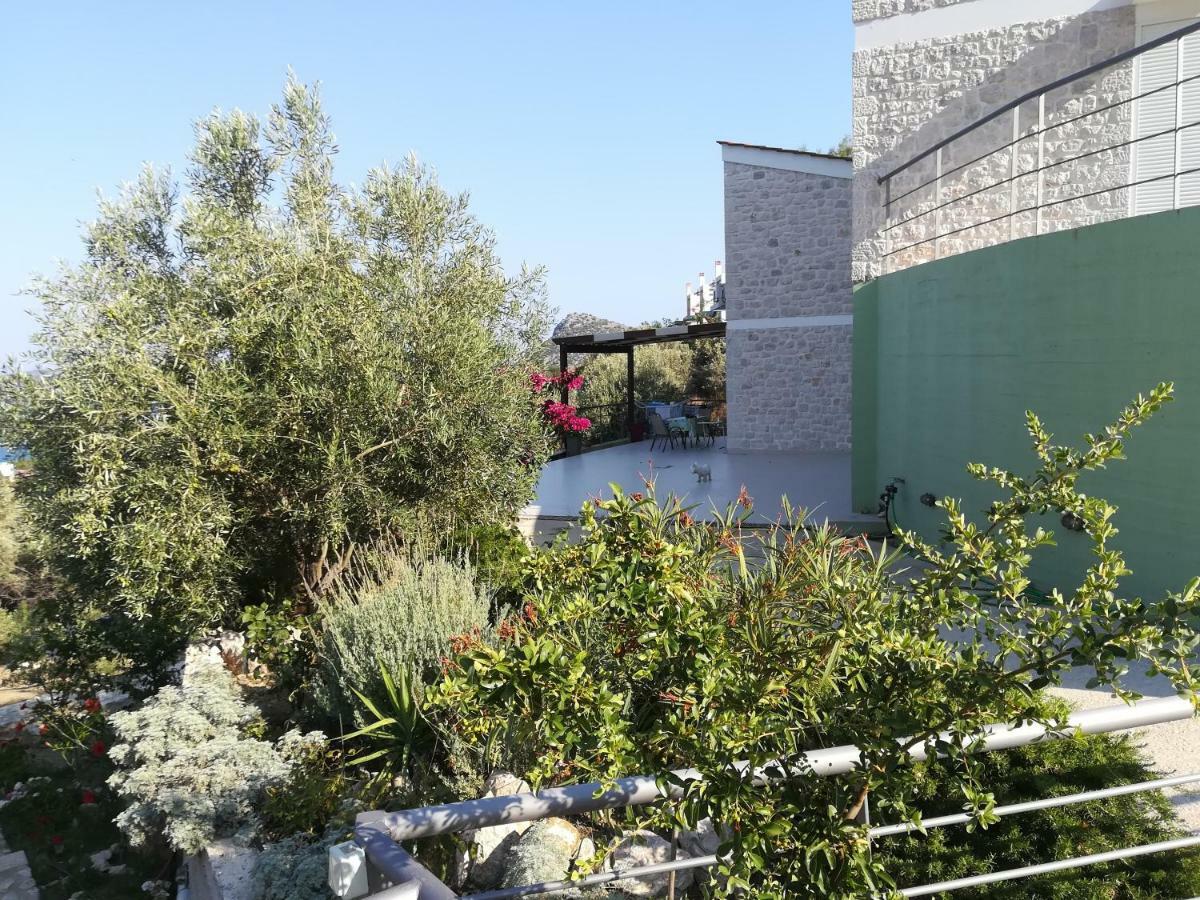 Villa Stone House In Olive Grove Tolón Esterno foto