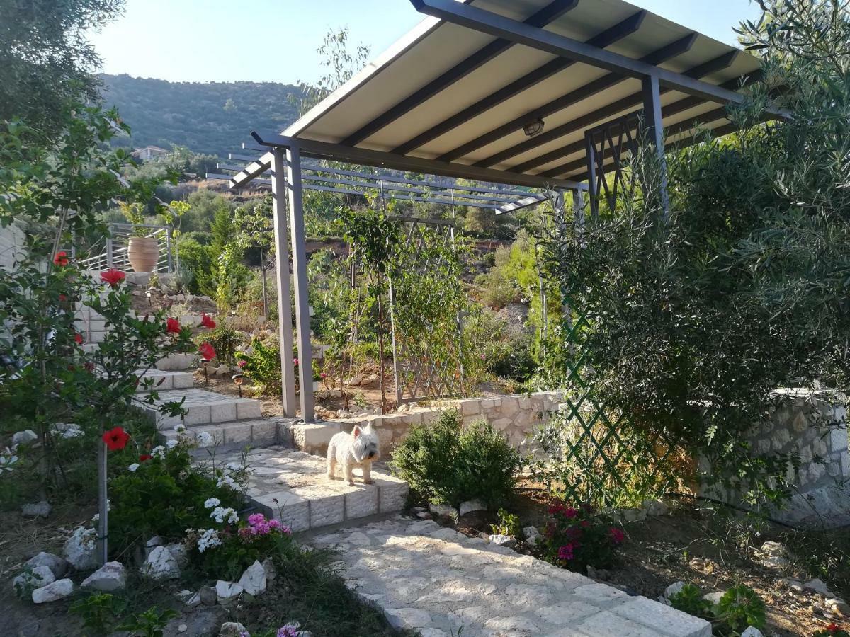 Villa Stone House In Olive Grove Tolón Esterno foto