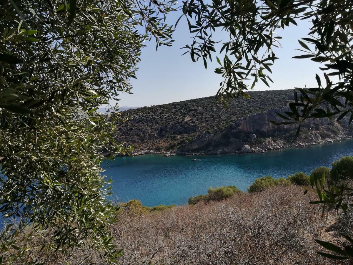 Villa Stone House In Olive Grove Tolón Esterno foto