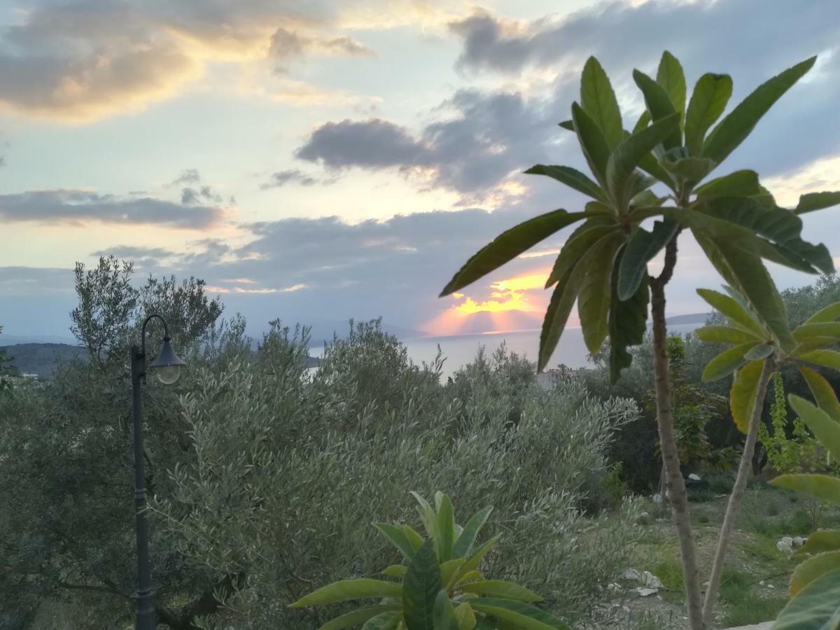 Villa Stone House In Olive Grove Tolón Esterno foto