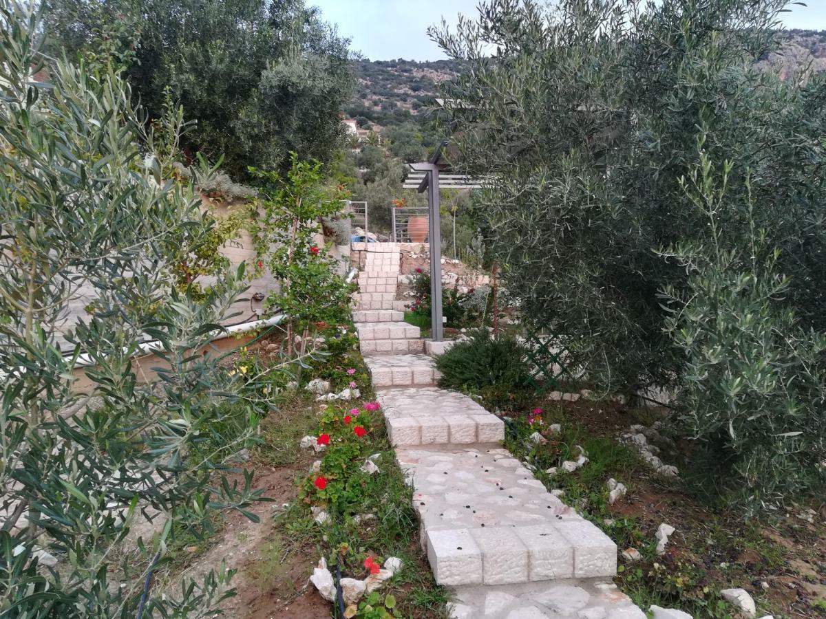 Villa Stone House In Olive Grove Tolón Esterno foto