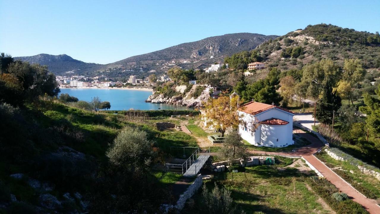 Villa Stone House In Olive Grove Tolón Esterno foto